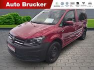 VW Caddy, 2.0 TDI PKW Trendline, Jahr 2019 - Marktredwitz