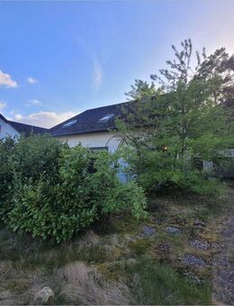 Renovierungsbedürftiges Einfamilienhaus mit idyllisch gelegenen Grundstück - Munster