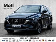 Mazda CX-5 Ad vantage 2WD 2.0 e-SKYACTIV-G 165 M-Hybrid EU6d HUD Navi 360 Kamera LED Dyn. Kurvenlicht - Aachen