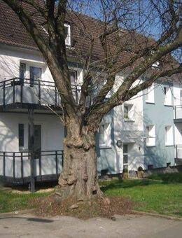 Wohnung in ruhiger Lage - Dortmund