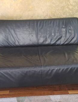 Ledersofa Marke W.Schillig 2-Sitzer - Forstern