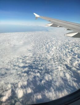 Er sucht sie - Neuwied