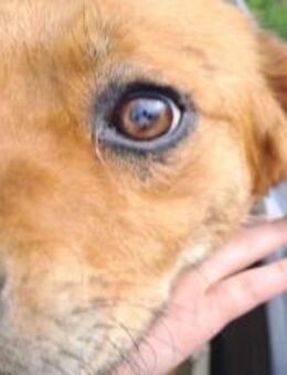 Frohnatur Paul hofft auf Neuanfang - München