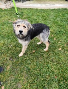 TOGGO - gemeinsame Stunden verbringen - Overath