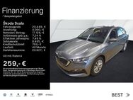 Skoda Scala, 1.0 TSI AMBITION 16ZOLL, Jahr 2024 - Mühlheim (Main)