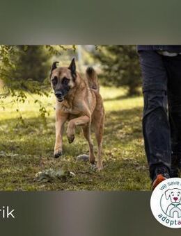 Tarik: sehnt sich nach Liebe - Kirchzell