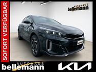 Kia XCeed, 1.5 T-GDI DCT7 GT-Line ||, Jahr 2022 - Speyer