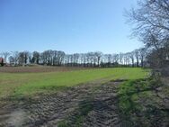 1,18 ha Ackerlandverkauf in 49610 Quakenbrück - Quakenbrück