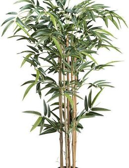 Kunstbaum Bambus Bambus, Creativ green, Höhe 130 cm, mit echten Bambusstäben
