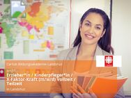 Erzieher*in / Kinderpfleger*in / X-Faktor-Kraft (m/w/d) Vollzeit / Teilzeit - Landshut