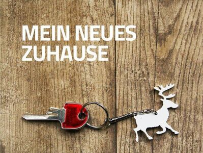 HOHOHO, bis Neujahr mietfrei das neue Singleapartement genießen