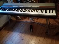 E piano Firma Korg - Wagenfeld