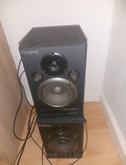 Roland DM-10 Studio Lautsprecher - Parchim