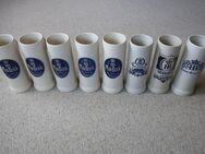 8 Bierkrüge Tonkrüge 0,5 l HB Hofbräu München beige blau - Niddatal