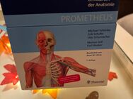 Prometheus Anatomie lernkarten Thieme - Güstrow