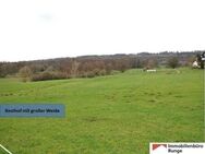 15.000m² großer Resthof mit Weide, Stallungen und Scheune im Auetal (Nähe Hannover) - Auetal