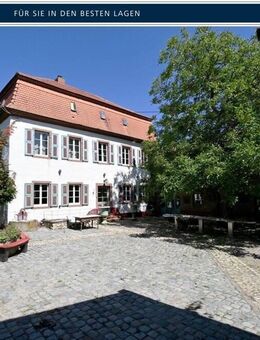 Schloss Alsheim sucht neuen Eigentümer! - Alsheim