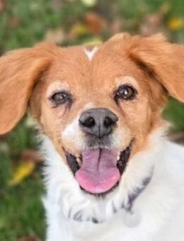 Wundervolle ZOI - Gefrees