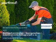 Baumsachverständiger / Baumgutachter / Arborist (m/w/d) (Fachagrarwirt o. ä.) - Bad Homburg (Höhe)