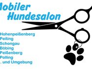 Mobiler Hundefriseur in Peiting/Peißenberg und Umgebung - Hohenpeißenberg