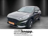 Ford Kuga 2.5 Duratec Plug-in-Hybrid PHEV ST-Line - Weinheim