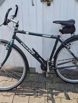 Giant X 1000 Herrenfahrrad grün 18gang 28zoll Reifen Rad Bike 54cm Rahmenhöhe - Essen