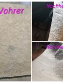 Kostenlose Teppichreinigung in 46562