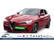 Alfa Romeo Stelvio, 2.9 Quadrifoglio Q4 V6 Bi-turbo EU6d-T AD, Jahr 2019 - Oberursel (Taunus)