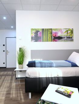 Möbliertes 1-Zimmer-Apartment in der Innenstadt Offenbach, wohnlich & voll ausgestattet - Offenbach (Main)