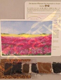 Set Farbenreiches Bienenparadies Blumen Insekten Hummel Bienen Blühfarben seed rot lila blau rosa gelb weiß bunt insektenfreundliches Saatgut flower seeds garden Geschenk Blumenwiese - Pfedelbach