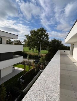 atemberaubende Penthousewohnung mit großer überdachten Süd-West Dachterrasse - ENERGIEKOSTEN gegen NULL....... - Bad Rappenau