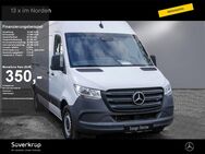 Mercedes Sprinter, 317 Kasten L2H2, Jahr 2022 - Kiel