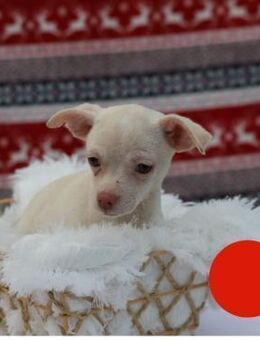 JOYCE - voller Erwartung auf Neues - Overath