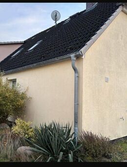 Komfort ohne Renovierungsstress: Einzugsfertiges EFH mit Möblierung, Garten und Garage - Dassow