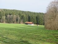 Ehem. Anwesen - Alleinlage - absolut ruhige und sonnige Höhenlage mit Blick zum Arber zw. Viechtach u. Sankt Englmar - Kollnburg