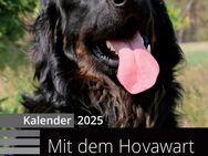 Hovawart-Kalender 2025 - Brandenburg (Havel)