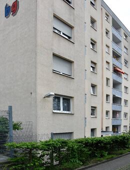 3 Zimmer in Viernheim - Viernheim