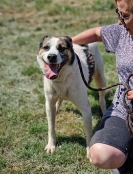 HERZPLATZ gesucht für sozialen OZMO ♥️🙏 - München