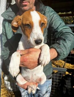 Ronja möchte endlich umziehen - Schlitz