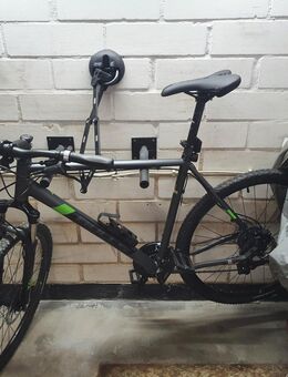Bulls Cross Bike 2 Herren grau 28er - Bad Driburg Zentrum