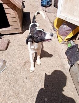 Gina bereit für Abenteuer - Geilenkirchen