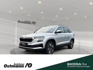 Skoda Karoq, Tour 110kw 4xSHZ, Jahr 2022 - Niestetal