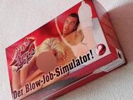 Masturbator Hot Lips Blow Job Simulator - Landau (Pfalz)