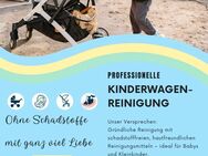 Professionelle Kinderwagen-Reinigung – Ohne Schadstoffe & mit viel Liebe zum Detail - Frankfurt (Main)