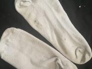 Socken - Steinfeld (Oldenburg)