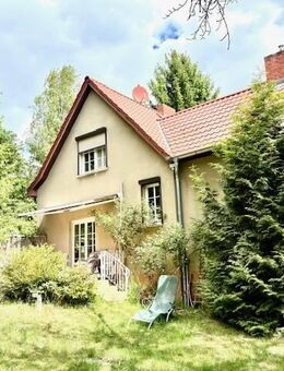 Auf dieser Terrasse will ich träumen! - Bad Saarow