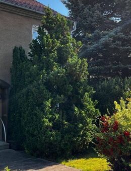 Reihenendhaus mit großem Gartengrundstück in Ortsrandlage - Menteroda