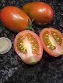 Tumbling Tiger - Buschtomate in 70569