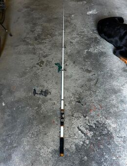 Sougayilang Teleskop Angelrute 3m 10-60g Wurfgewicht - Langenfeld (Rheinland)