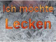 Ich möchte eine gepflegte Muschi lecken. - Sondershausen